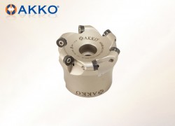 AFMR-RC10T3-D063-A22-Z06-H